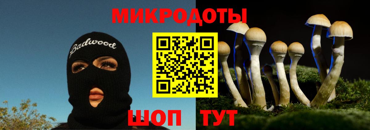 Галлюциногенные грибы мухоморы  наркотики  Каменск-Шахтинский  Вход с VPN 