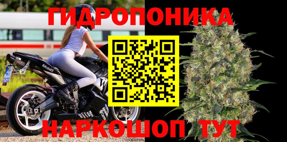 Шишки марихуана конопля Каменск-Шахтинский